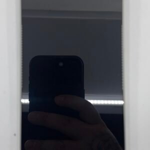 Apple iPhone 16 Pro Max 256GB Unlocked